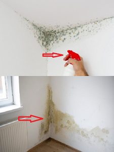 Grandmother’s Old Trick Makes Mold Disappear from Your Home - Page 2 of