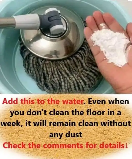 Image showcasing The Ultimate Floor-Cleaning Tip: Keep Floors Clean and Dust-Free ...